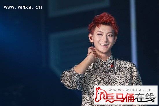 黄子韬演唱会筹款为天津祈福