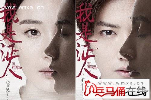 电影《我是证人》剧情简介及各主要角色介绍