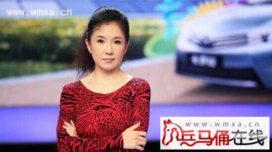 张朝阳与张歆艺是什么关系?2015张朝阳身价财