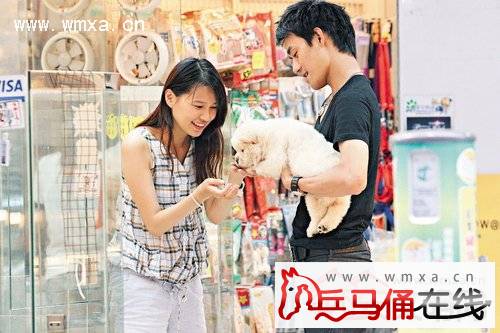 伪装者明诚王凯整容了吗前后照曝光 王凯的绯