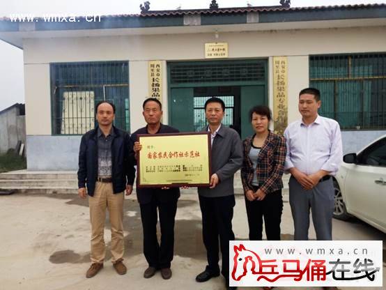 周至县长扬果品专业合作社喜获国家农民合作社