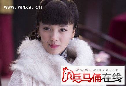 晃出道15年 女演员刘涛演过的电视剧有哪些(2