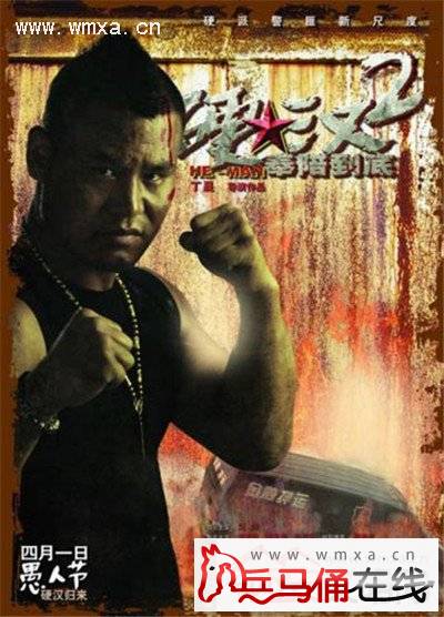 传散打王柳海龙的死因为不实消息 柳海龙个人资料简介(3)_西安文明网