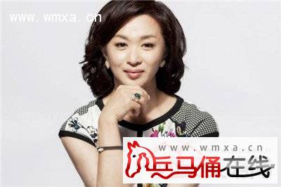 姚笛文章出轨门 金星骂姚笛力挺好友马伊璃