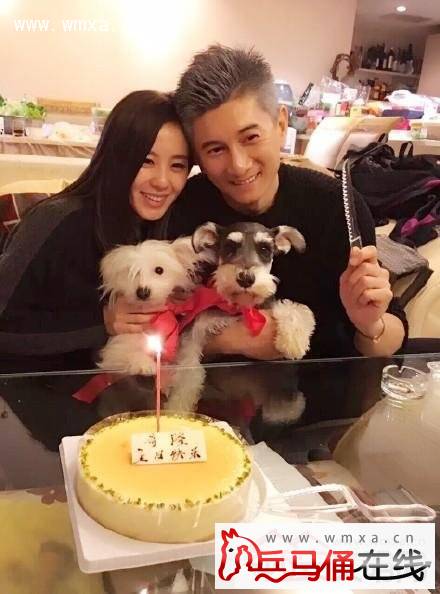刘诗诗庆吴奇隆45岁生日 揭吴奇隆刘诗诗甜蜜