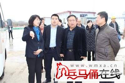 李婧副市长来蓝田调研分级诊疗工作