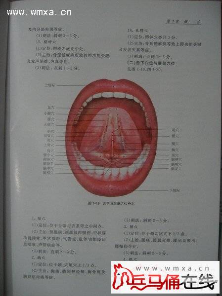 曝林青霞有隐疾秘试舌针治疗超3年 揭什么是舌