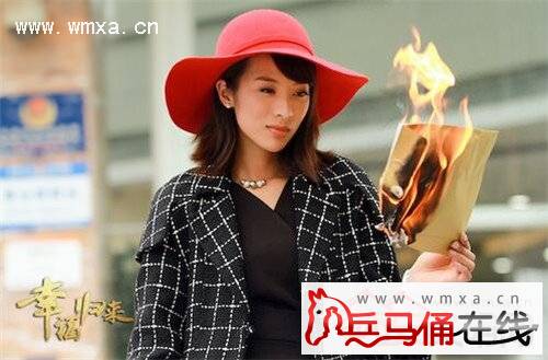 幸福归来大结局剧情简介:丁艾嘉为爱绑架鱼幼