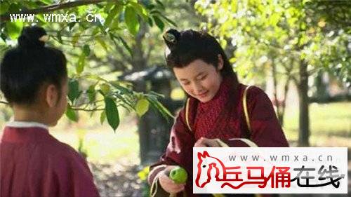 芈月传黄歇小时候是谁演的 小黄歇扮演者谷昊