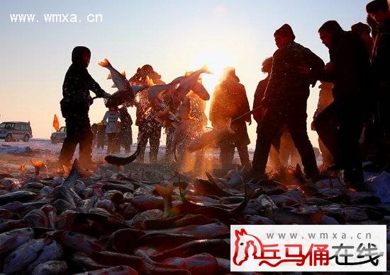 哈尔滨 渔民极寒天冬捕  游客赞叹不已大呼壮观