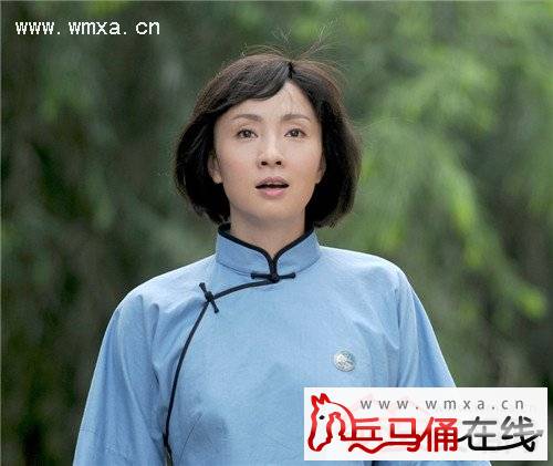 吴秀波主演电视剧《乱世书香》开播 其剧情简