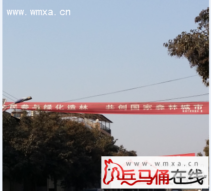 华西村人均收入_街道办人均21万元(3)