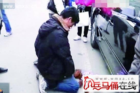 撞死小狗狗主索赔万元 赔偿款谈不拢车主遭围