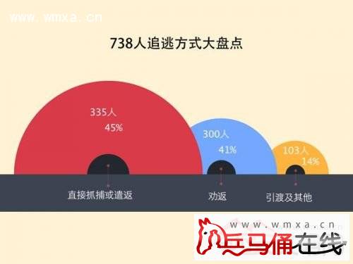 两名红通嫌犯被抓诠释天网恢恢 揭秘付耀波和