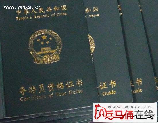 12岁导游违规获资格证 官方称年龄上并未要求