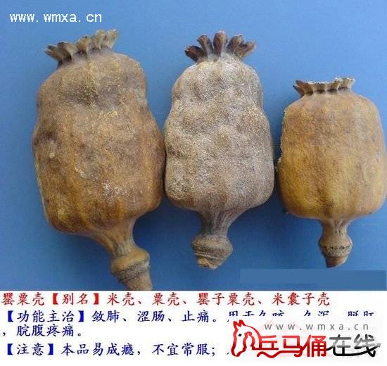  吃拌面尿检呈阳性 