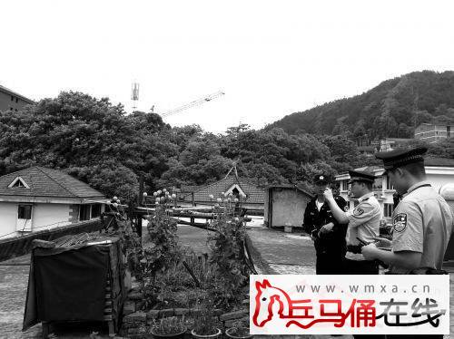  楼顶私种罂粟花 (4)图片  楼顶私种罂粟花 (4)图片