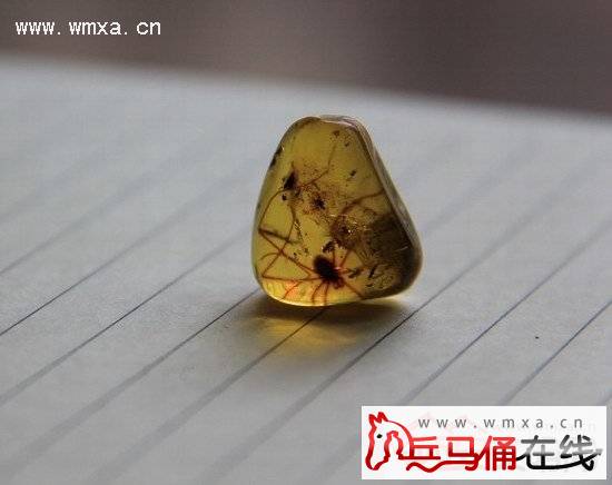 或可揭示一亿年前生物起源和演变_动物世界 日前,我国科学家专家在缅甸发现最老琥珀并发布了科研成果在《科学》期刊上,研究显示,其年龄在接近一亿年左右,且该种琥珀中的内含物比较丰富,对于揭示地球上生物的起源与进化有着极其重要的价值。 据《古老琥珀中的秘密在流失》论文通讯作者、中科院昆明植物研究所研究员高立志博士介绍,这种琥珀矿石发现并产自于缅甸,被称为缅甸琥珀。科学家研究用到的琥珀矿石,是在琥珀中包含有特定内含物的矿石,它们大概占缅甸琥珀1%左右的比例。在将琥珀矿石去皮后,其质量在1克到5克左右,也有少数达到数十克。 高立志说,这种琥珀是目前
