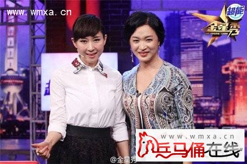 金星秀李霞或复出当主持人 李霞个人资料主持经历介绍