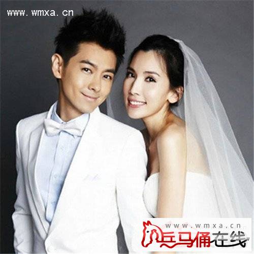 叫什么照片曝光 林志颖老婆陈若仪个人资料简