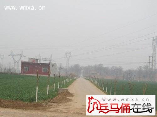 代王街办人口