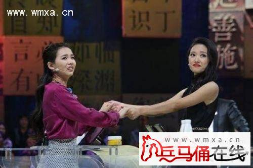 中国成语大会白话灵犀组合是哪一期 白话灵犀