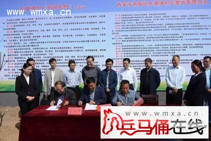 高陵召开农村宅基地制度改革试点灰堆坡村现场