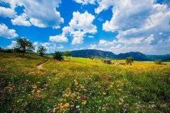 ӭս ȥ