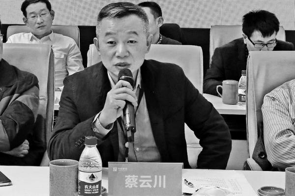 观唐集团董事长_观唐别墅(2)