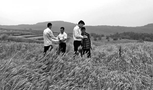 铜川市141户村民喜领农村宅基地不动产权属证