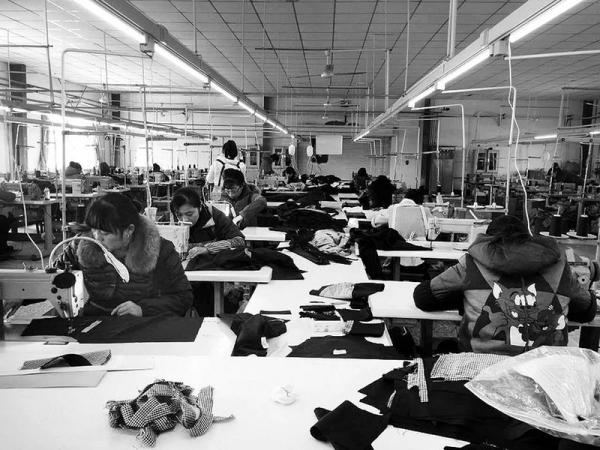 凯美聚集团:用心用力做好品牌 - 中国网中国品