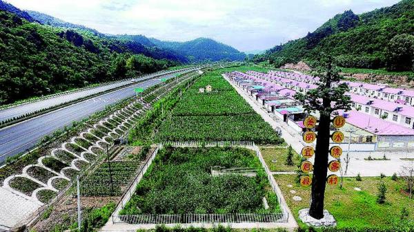 按照产业兴旺、生态宜居、乡风文明、治理有效