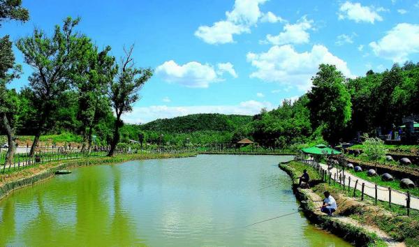 按照产业兴旺、生态宜居、乡风文明、治理有效