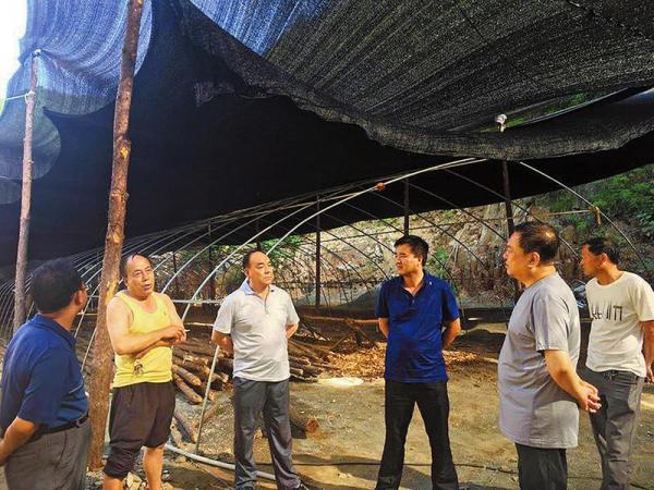商州市商州区大荆镇人口多少(2)