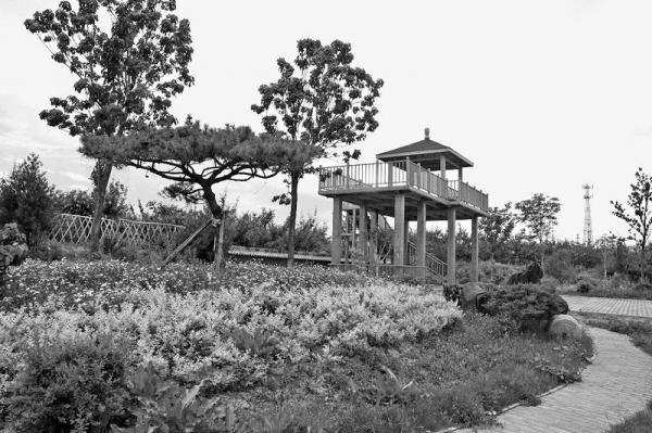 ƻ���䡰����� ��԰�侰��