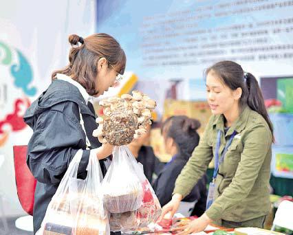喜庆丰收盛宴 美食回味悠长
