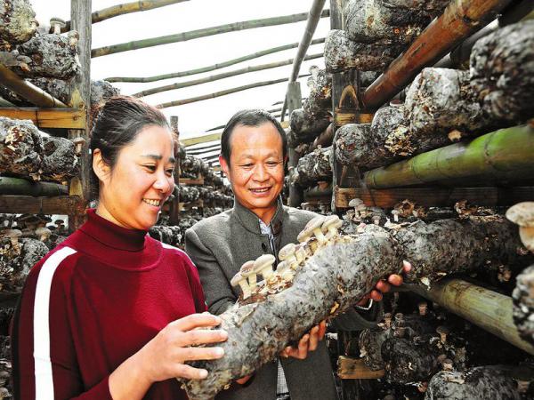 为建设生态、人文、法治、幼康商州撑起坚实的脊梁大发不断彩技巧打算